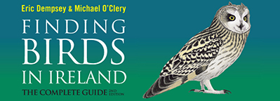 Birdwatching in Ireland