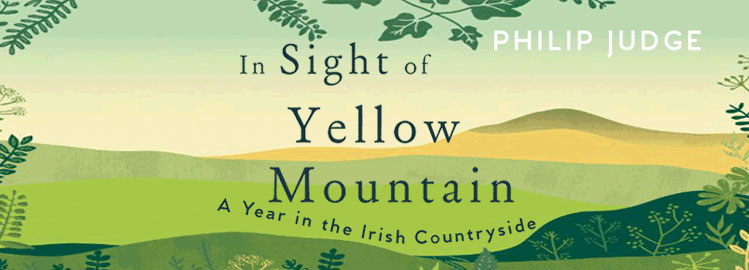 In Sight of Yellow Mountain A Year in the Irish Countryside by Philip Judge