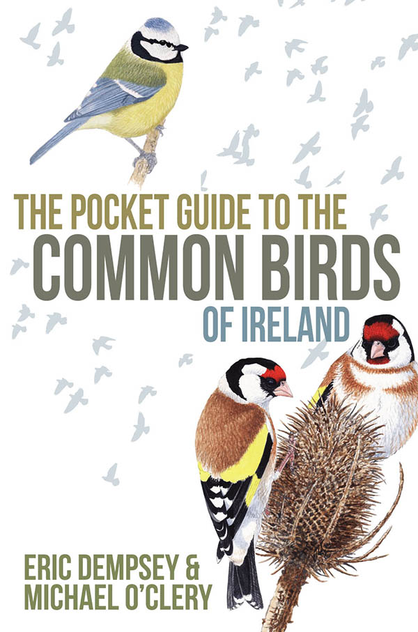 Fish Of Ireland Pocket Guides