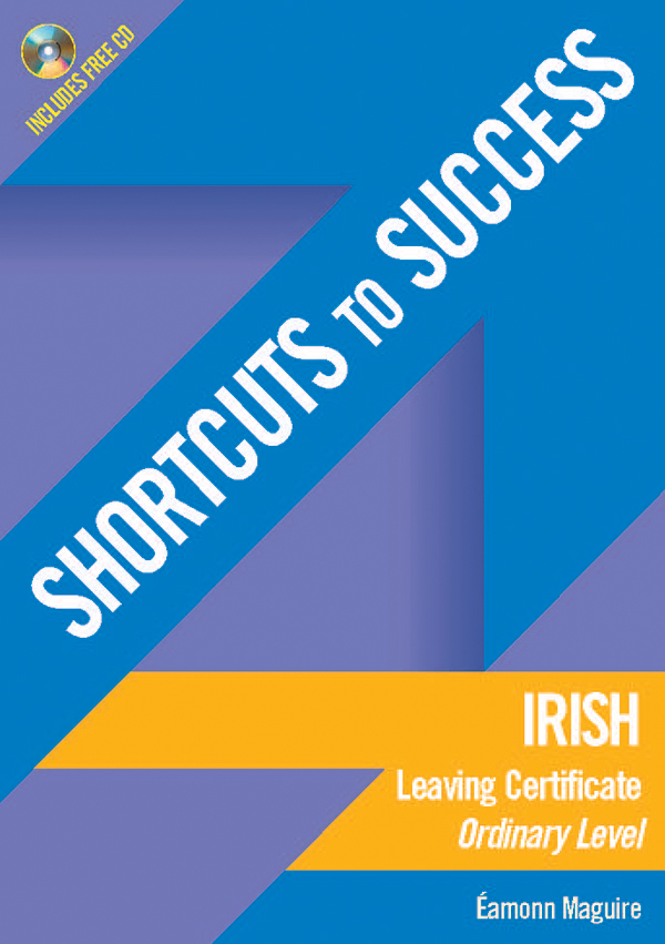 Shortcuts to success irish essay writing 08 picture