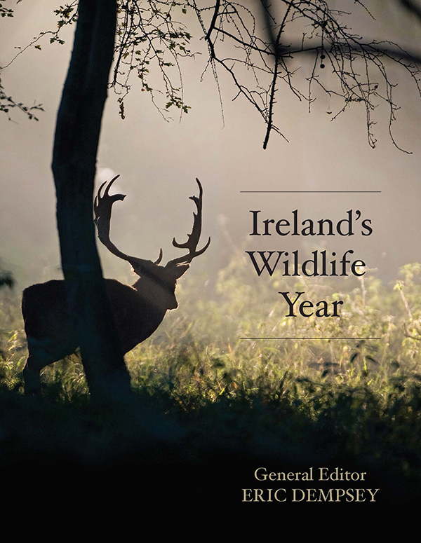 Gill Books - Nature - Ireland's Wildlife Year