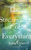 The Stream of Everything