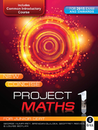 New Concise Project Maths 1