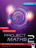 New Concise Project Maths 2